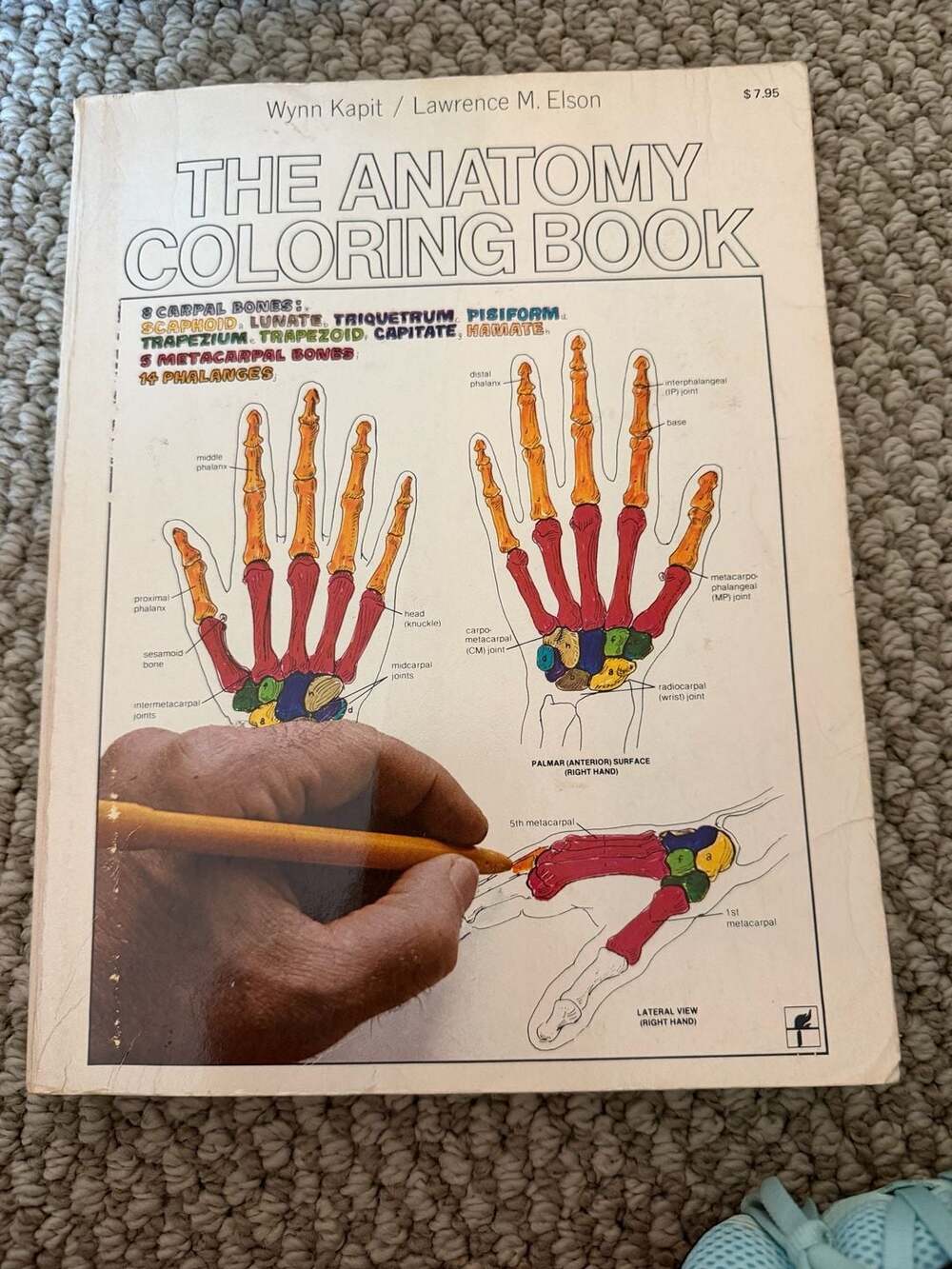 The Anatomy Coloring Book by Wynn Kapit and Lawrence M. Elson